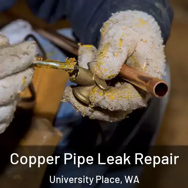  Copper Pipe Leak Repair University Place, WA