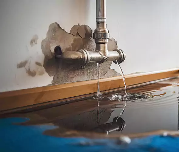 Professional Water Damage Restoration Experts in University Place, WA — Fast, Reliable & Certified