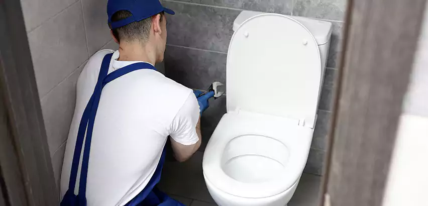 Toilet Lid Replacement in University Place