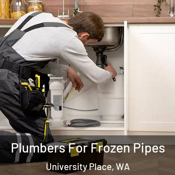  Plumbers For Frozen Pipes University Place, WA