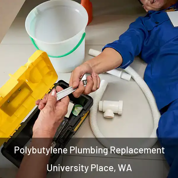  Polybutylene Plumbing Replacement University Place, WA