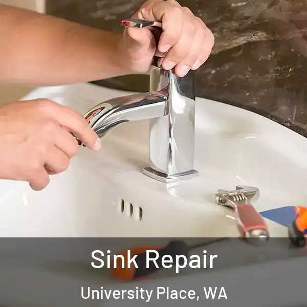  Sink Repair University Place, WA