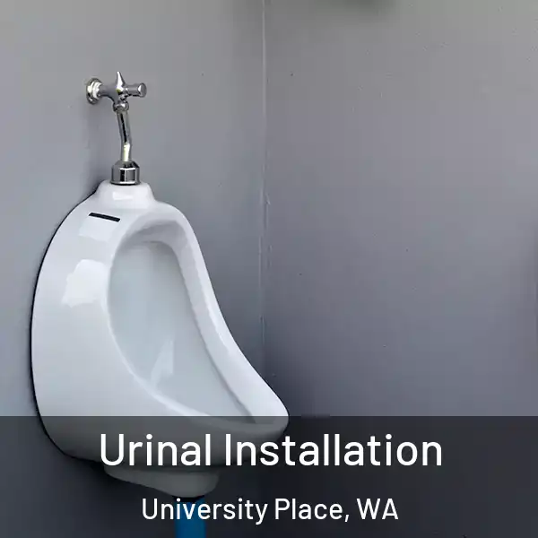 Urinal Installation University Place, WA
